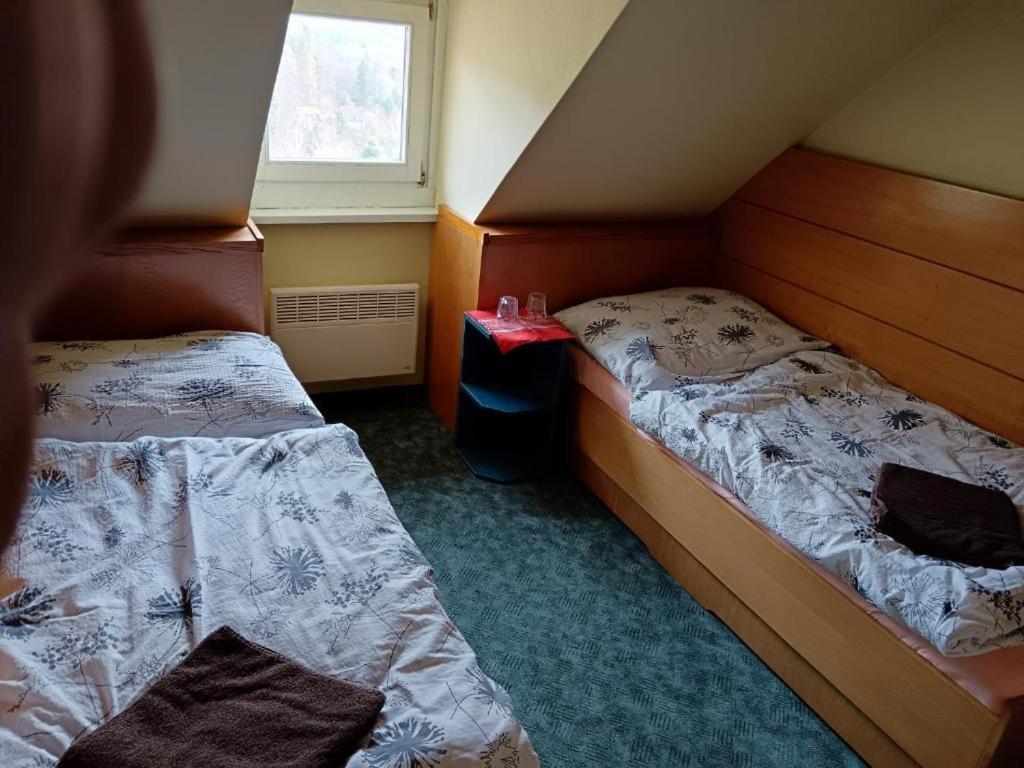 Jandlova Vila Frenštát pod Radhoštěm Chambre photo